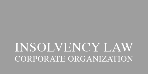 More on insolvency law/corporate organisation